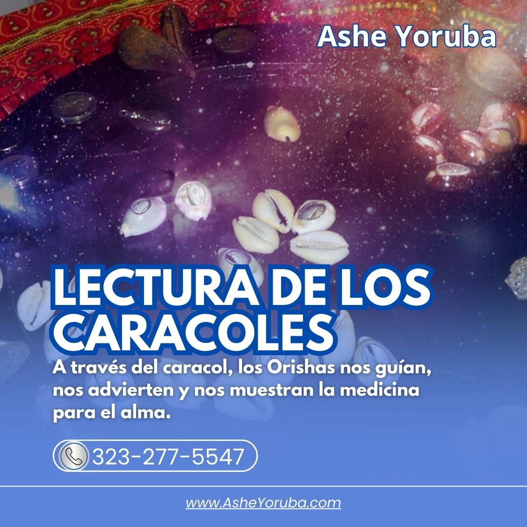 lectura_de_caracoles_orishas_ashe_yoruba